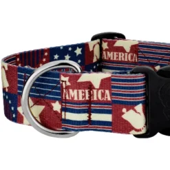 Country Brook Petz HossFit Jr Wide Deluxe Dog Collar - Americana Collection -Pet Shop GUEST 00c6d185 070c 4513 b645 fd749f71db60