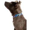 Country Brook Petz Deluxe Gone Fishin' Dog Collar And Leash 1 Country Brook Petz Deluxe Gone Fishin' Dog Collar And Leash -Pet Shop GUEST 00f88372 90dd 415b aa05 568d6b5dba88
