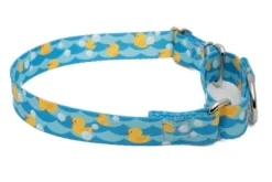 Country Brook Petz Just Ducky Martingale Dog Collar 9 Country Brook Petz Just Ducky Martingale Dog Collar -Pet Shop GUEST 018e7fd8 d5cd 454d ada9 af749c07aed9