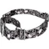 Country Brook Petz Phantom Skulls Martingale Dog Collar (1 Inch, Medium) -Pet Shop GUEST 01edc17f e974 4e96 93b8 14f7a342b9c8