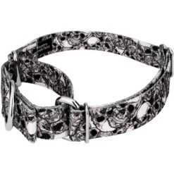 Country Brook Petz Phantom Skulls Martingale Dog Collar (1 Inch, Medium)