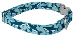 Country Brook Petz Premium Sharks Dog Collar 9 Country Brook Petz Premium Sharks Dog Collar -Pet Shop GUEST 0263321f f23f 4481 9206 c47f5c6fd569