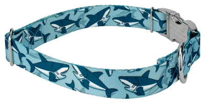 Country Brook Petz Premium Sharks Dog Collar 5 Country Brook Petz Premium Sharks Dog Collar - Image 3