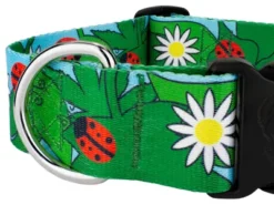 Country Brook Petz 1 1/2 Inch Deluxe Ladybug Picnic Dog Collar 9 Country Brook Petz 1 1/2 Inch Deluxe Ladybug Picnic Dog Collar -Pet Shop GUEST 0296120d d5a2 41c0 8b46 ee3f0af1bdd5