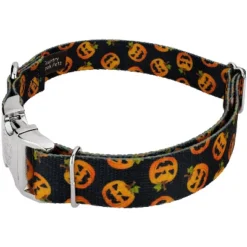 Country Brook Petz Premium Dog Collar And Leash - Halloween Collection