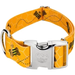 Country Brook Petz 1 1/2 Inch Premium Busy Bee Dog Collar -Pet Shop GUEST 02e7ea9b 63d8 4469 ac12 3885b681b572