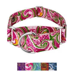 Country Brook Petz HossFit Jr Wide Martingale Dog Collar - Paisley Collection 21 Country Brook Petz HossFit Jr Wide Martingale Dog Collar - Paisley Collection -Pet Shop GUEST 033b0d5a f429 40e0 b49d 74e8dce8fcc8