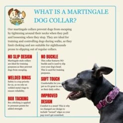 Country Brook Petz Martingale Dog Collar - Attitude Collection -Pet Shop GUEST 0340d459 dbae 4c0a 97c6 12e8326a0058