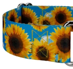 Country Brook Petz 1 1/2 Inch Sunflowers Martingale Dog Collar -Pet Shop GUEST 038eeb55 55e4 4d9b 9226 92962e59e198