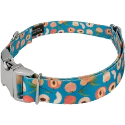 Country Brook Petz Premium Dog Collar - Tasty Collection -Pet Shop GUEST 041e47a9 0434 45dc bf8a 1e8fee54e371