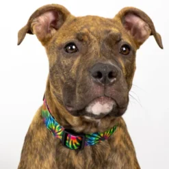Country Brook Petz 1 1/2 Inch Deluxe Tie Dye Stripes Dog Collar