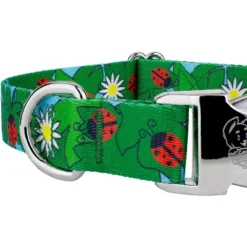 Country Brook Petz Premium Ladybug Picnic Dog Collar -Pet Shop GUEST 0536ccd8 1d62 4a02 9e25 5b90bbd8402d