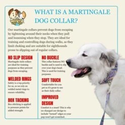 Country Brook Petz HossFit Jr Wide Martingale Dog Collar - Groovy Collection -Pet Shop GUEST 05b0ea2f 3467 4d2e 8a82 a1364287d4f7