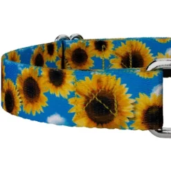 Country Brook Petz Sunflowers Martingale Dog Collar 9 Country Brook Petz Sunflowers Martingale Dog Collar -Pet Shop GUEST 05b8c9b6 3bb1 4193 81d8 3179b8603401