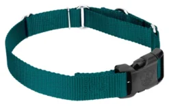 Country Brook Petz Durable Nylon Martingale With Deluxe Buckle - Made In The USA -Pet Shop GUEST 05d8232b 0960 4168 b0e2 7763fc827bc1