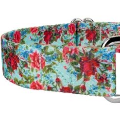 Country Brook Petz Vintage Roses Martingale Dog Collar -Pet Shop GUEST 05e292d5 5452 417f 9756 daa9e3bf24ea