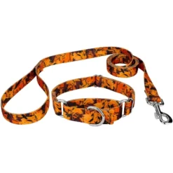 Country Brook Petz Orange Sunset Camo Martingale Dog Collar And Leash -Pet Shop GUEST 06a7a436 5e39 4924 96ba 5513e2895be2