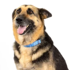 Country Brook Petz - Mermaid Scales Martingale Dog Collar -Pet Shop GUEST 06c862d3 a366 4659 b826 3299cfa646d6