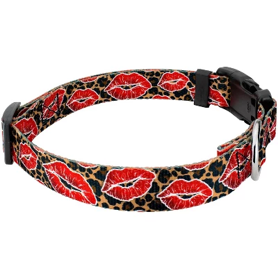 Country Brook Petz Deluxe Cheetah Kisses Dog Collar And Leash Limited Edition 4 Country Brook Petz Deluxe Cheetah Kisses Dog Collar And Leash Limited Edition - Image 2