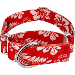 Country Brook Petz 1 1/2 Inch Red Hawaiian Martingale Dog Collar -Pet Shop GUEST 0785c6a5 e1e4 40f9 bbb0 9be2a05bd19b