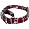Country Brook Petz Martingale Dog Collar - Sports And Athletics Collection