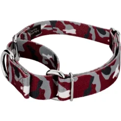 Country Brook Petz Martingale Dog Collar - Sports And Athletics Collection