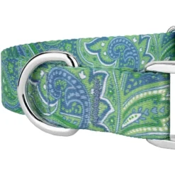 Country Brook Petz Premium Green Paisley Collar And Leash -Pet Shop GUEST 07f8e4be 44c6 4c53 82f9 b78eb36b3cec