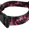 Country Brook Petz 1 1/2 Inch Deluxe Pink Honeysuckle Breeze Dog Collar -Pet Shop GUEST 082245ef e7b9 4ac7 b176 4a9579e9caac