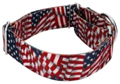 Country Brook Petz 1 1/2 Inch Patriotic Tribute Martingale Dog Collar -Pet Shop GUEST 08addb4e 7c08 42ad 8e73 1492d0cf5d93