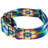 Country Brook Petz 2 Inch Tie Dye Flowers Martingale Dog Collar