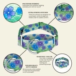 Country Brook Petz HossFit Jr Wide Martingale Dog Collar - Spring Collection -Pet Shop GUEST 098a8630 e6f4 4588 9a81 b1c45965bb37