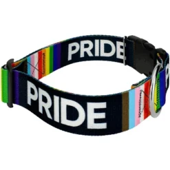 Country Brook Petz 1 1/2 Inch Deluxe Pride Dog Collar -Pet Shop GUEST 09a35534 0f79 4adc 9806 7664c9c26ab0