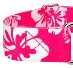Country Brook Petz 1 1/2 Inch Pink Hawaiian Martingale Dog Collar 15 Country Brook Petz 1 1/2 Inch Pink Hawaiian Martingale Dog Collar -Pet Shop GUEST 09f45874 33f3 41bc 908a dc983afdaeee