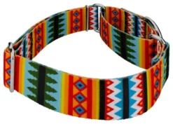 Country Brook Petz 1 1/2 Inch Summer Pines Martingale Dog Collar -Pet Shop GUEST 0a0142cd 63d2 4eab 8352 b1fadec0d221