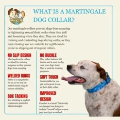 Country Brook Petz HossFit Jr Wide Martingale Dog Collar - Camouflage Collection -Pet Shop GUEST 0a2a5855 bea2 4ab0 a01a 41b2f64b74a9