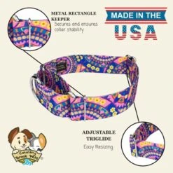 Country Brook Petz HossFit Jr Wide Martingale Dog Collar - Groovy Collection -Pet Shop GUEST 0a468d6f afd6 4259 83df 422a340385e1