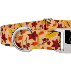 Country Brook Petz Premium Fall Foliage Dog Collar And Leash -Pet Shop GUEST 0a71d941 a72d 4b7a 8678 7d5db76d1f87 1