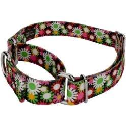 Country Brook Petz Daisy Fields Martingale Dog Collar 14 Country Brook Petz Daisy Fields Martingale Dog Collar -Pet Shop GUEST 0af99beb 3cb4 4b8f 93d6 c4164392ad63