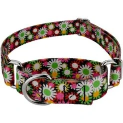Country Brook Petz Daisy Fields Martingale Dog Collar 19 Country Brook Petz Daisy Fields Martingale Dog Collar -Pet Shop GUEST 0b08fa8c fa8f 48bf 9dac 890106dff489