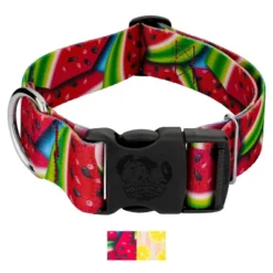Country Brook Petz HossFit Jr Wide Deluxe Dog Collar - Tasty Collection -Pet Shop GUEST 0b1f00f8 4417 4be5 ab49 ac5d1d77861c