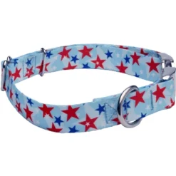 Country Brook Petz Premium Dog Collar - Americana Collection