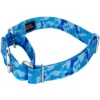 Country Brook Petz Blue Bone Camo Martingale Dog Collar -Pet Shop GUEST 0bc09686 3c9c 4794 822a 1b92ed6558bf