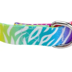 Country Brook Petz Premium Fashion Zebra Dog Collar -Pet Shop GUEST 0bf691c9 4526 46c5 85cd 4af4cfe3ac0d