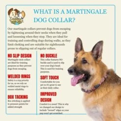 Country Brook Petz HossFit Jr Wide Martingale Dog Collar - Americana Collection -Pet Shop GUEST 0c34968a 4391 46d7 aabb 95f919d453ea