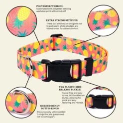 Country Brook Petz Deluxe Dog Collar - Made In The U.S.A. - Tasty Collection -Pet Shop GUEST 0c5bde96 6015 4e22 813a 4196fda4b102