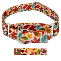 Country Brook Petz Martingale Dog Collar - Awesome Autumn Collection -Pet Shop GUEST 0c73ae30 1069 4b6d 8a8e 5e44bb3f43e2
