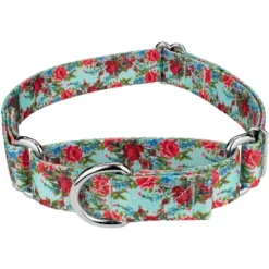 Country Brook Petz Vintage Roses Martingale Dog Collar -Pet Shop GUEST 0cb08e0b dc5c 4841 97cc 56fc6ee0a39e