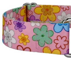 Country Brook Petz 1 1/2 Inch May Flowers Martingale Dog Collar -Pet Shop GUEST 0cc6582f bb19 4659 96ad 5901a449889d