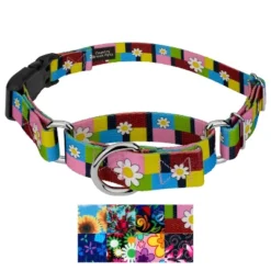 Country Brook Petz Martingale Dog Collar With Deluxe Buckle - Floral Collection