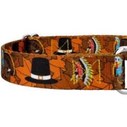 Country Brook Petz Thanksgiving Tradition Martingale Dog Collar -Pet Shop GUEST 0e1ed2fd 530d 4320 96cb 7e36ea562d3b